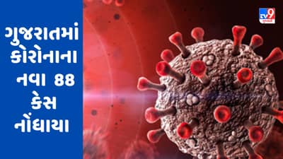 Breaking News : ગુજરાતમાં કોરોનાના કેસોમાં સતત ઘટાડો, નવા 88 કેસ નોંધાયા