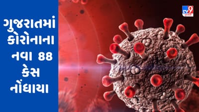 Breaking News : ગુજરાતમાં કોરોનાના કેસોમાં સતત ઘટાડો, નવા 88 કેસ નોંધાયા