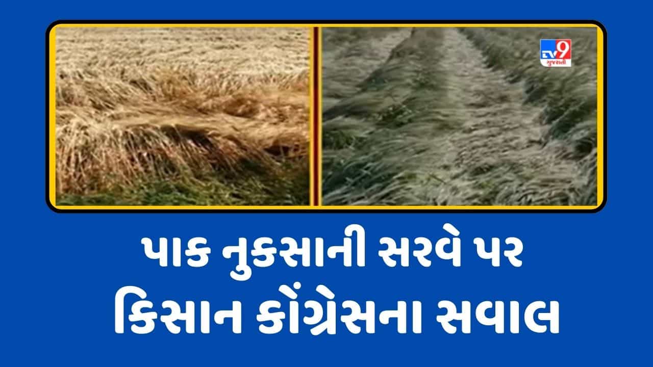 ગુજરાતમાં પાક નુકસાની સરવેને લઈ કિસાન કોંગ્રેસના સવાલ, નુકસાની થઈ તેવા ખેડૂતો યાદીમાંથી બાકાત હોવાના આક્ષેપ, જુઓ Video