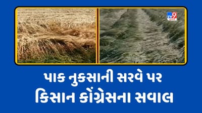 ગુજરાતમાં પાક નુકસાની સરવેને લઈ કિસાન કોંગ્રેસના સવાલ, નુકસાની થઈ તેવા ખેડૂતો યાદીમાંથી બાકાત હોવાના આક્ષેપ, જુઓ Video ગુજરાતમાં પાક નુકસાની સરવેને લઈ કિસાન કોંગ્રેસના સવાલ, નુકસાની થઈ તેવા ખેડૂતો યાદીમાંથી બાકાત હોવાના આક્ષેપ, જુઓ Video