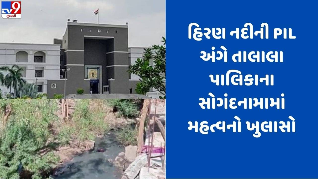 Gujarati video: હિરણ નદીમાં પ્રદૂષણ અંગેની જાહેર હીતની અરજીમાં તાલાલા પાલિકાના સોગંદનામામાં મહત્વનો ખુલાસો, જાણો વિગતો