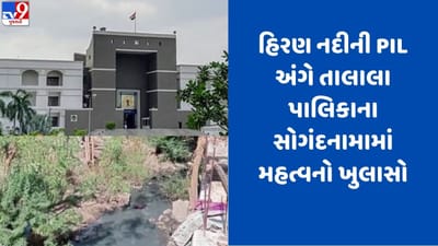 Gujarati video: હિરણ નદીમાં પ્રદૂષણ અંગેની જાહેર હીતની અરજીમાં તાલાલા પાલિકાના સોગંદનામામાં મહત્વનો ખુલાસો, જાણો વિગતો
