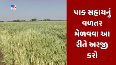 કમોસમી વરસાદથી થયેલ પાક નુકસાનના રાહત પેકેજનો લાભ કેવી રીતે મેળવશો ? આ રીતે TDOને અરજી કરો