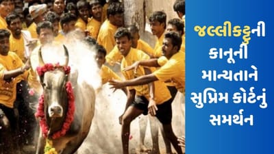 Breaking News: સુપ્રીમ કોર્ટે જલ્લીકટ્ટુની કાનૂની માન્યતાને આપ્યું સમર્થન, કહ્યું તે ક્રૂરતા નથી પણ સંસ્કૃતિ સાથે સંબંધિત છે