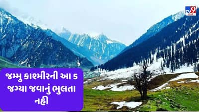 Summer Vacations: આ ઉનાળામાં કાશ્મીર જાવ તો ખીણના આ 5 છુપાયેલા સ્થળોની મુલાકાત લેવાનું ભૂલશો નહીં, જુઓ Video