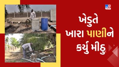 Jamnagar: કોઠાસુઝથી ખેડુતે ખારા પાણીને કર્યુ મીઠુ, દરીયા કાંઠાના ખેતરમાં વરસાદી પાણીનો સંગ્રહ કરીને કરે છે સિચાઈ