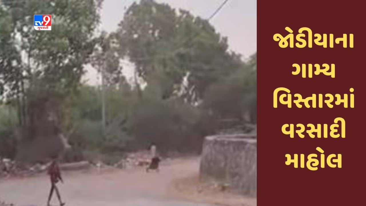 Gujarati Video : જામનગરના જોડીયાના ગામ્ય વિસ્તારમાં વરસાદી માહોલ