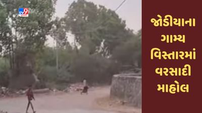 Gujarati Video : જામનગરના જોડીયાના ગામ્ય વિસ્તારમાં વરસાદી માહોલ