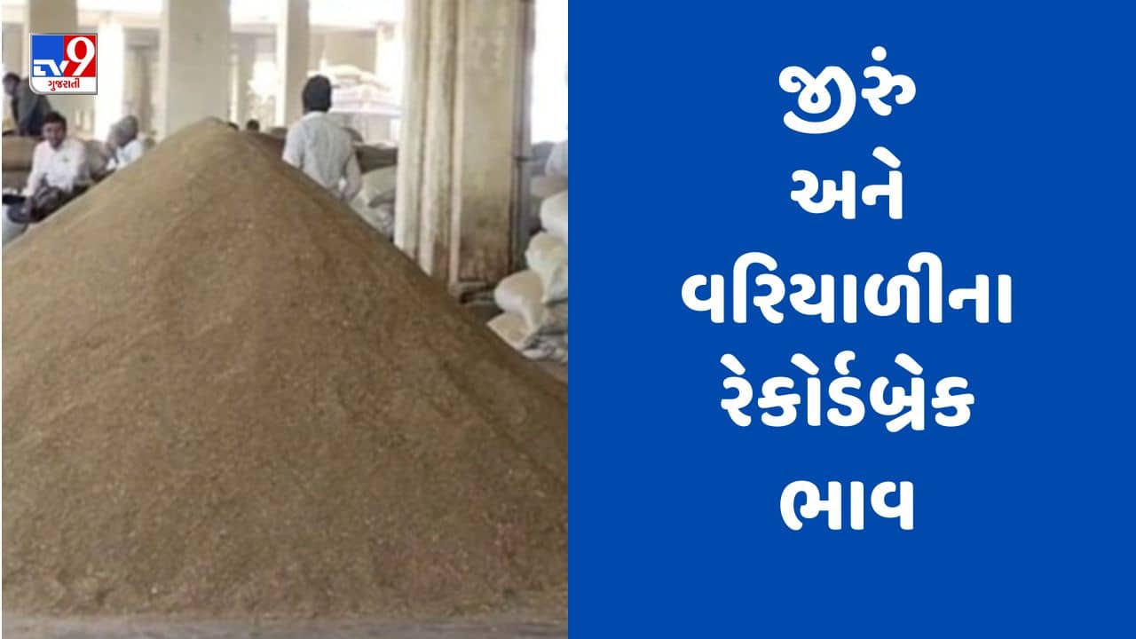 Rajkot : બેડી માર્કેટમાં જીરું અને વરિયાળીના રેકોર્ડબ્રેક ભાવ બોલાયા, 1830 ક્વિન્ટલ જીરૂની આવક થઈ, જુઓ Watch Video