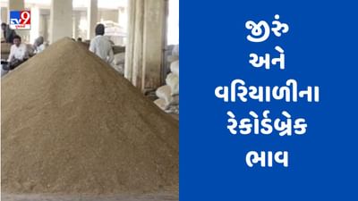 Rajkot : બેડી માર્કેટમાં જીરું અને વરિયાળીના રેકોર્ડબ્રેક ભાવ બોલાયા, 1830 ક્વિન્ટલ જીરૂની આવક થઈ, જુઓ Watch Video Rajkot : બેડી માર્કેટમાં જીરું અને વરિયાળીના રેકોર્ડબ્રેક ભાવ બોલાયા, 1830 ક્વિન્ટલ જીરૂની આવક થઈ, જુઓ Watch Video