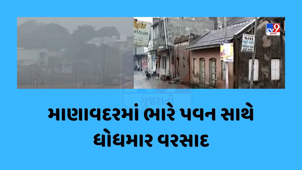 Junagadh : માણાવદરમાં ભારે પવન સાથે ધોધમાર વરસાદ, કમોસમી વરસાદથી ખેડૂતોને નુકસાન, જુઓ Video Junagadh : માણાવદરમાં ભારે પવન સાથે ધોધમાર વરસાદ, કમોસમી વરસાદથી ખેડૂતોને નુકસાન, જુઓ Video