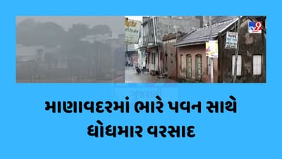 Junagadh : માણાવદરમાં ભારે પવન સાથે ધોધમાર વરસાદ, કમોસમી વરસાદથી ખેડૂતોને નુકસાન, જુઓ Video
