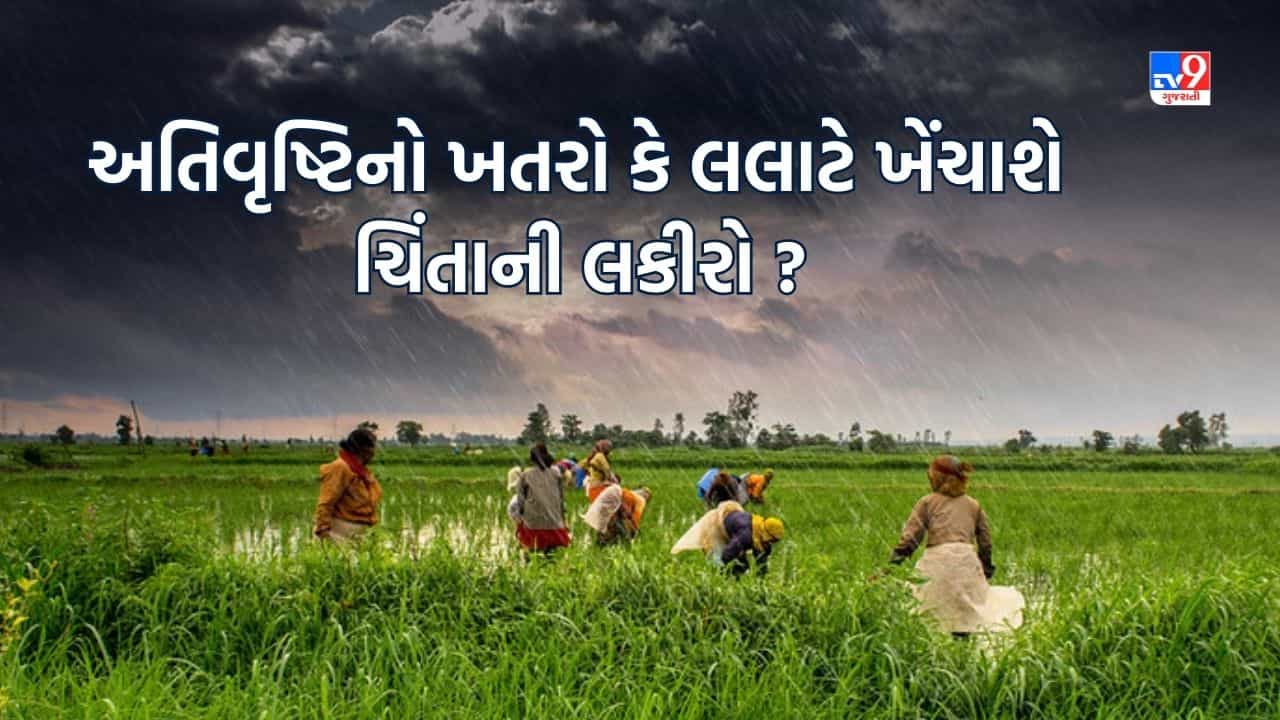 Junagadh: ગુજરાતમાં ચોમાસું કેવું રહેશે, પ્રાચીન વર્ષા વિજ્ઞાન શું કહે છે? જુઓ Video