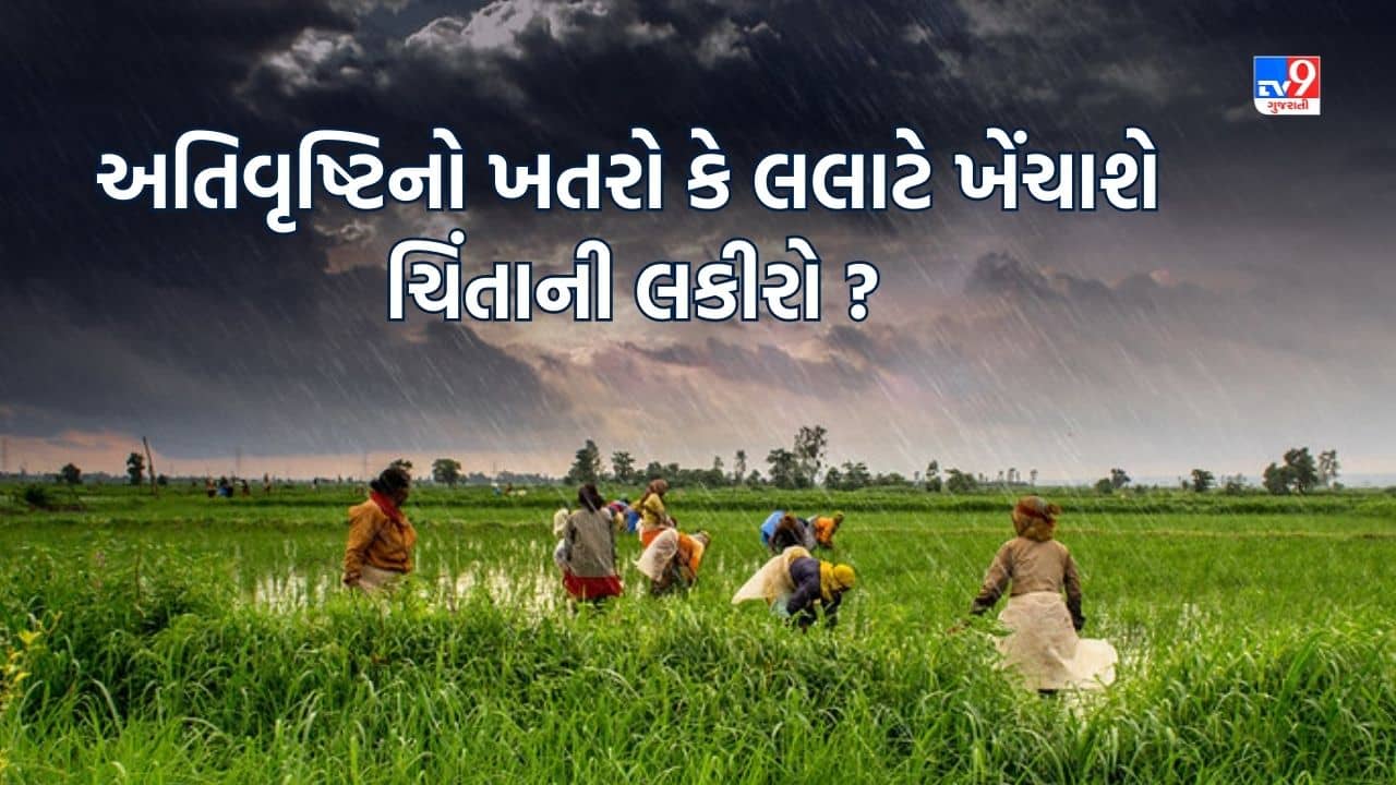 Junagadh: ગુજરાતમાં ચોમાસું કેવું રહેશે, પ્રાચીન વર્ષા વિજ્ઞાન શું કહે છે? જુઓ Video