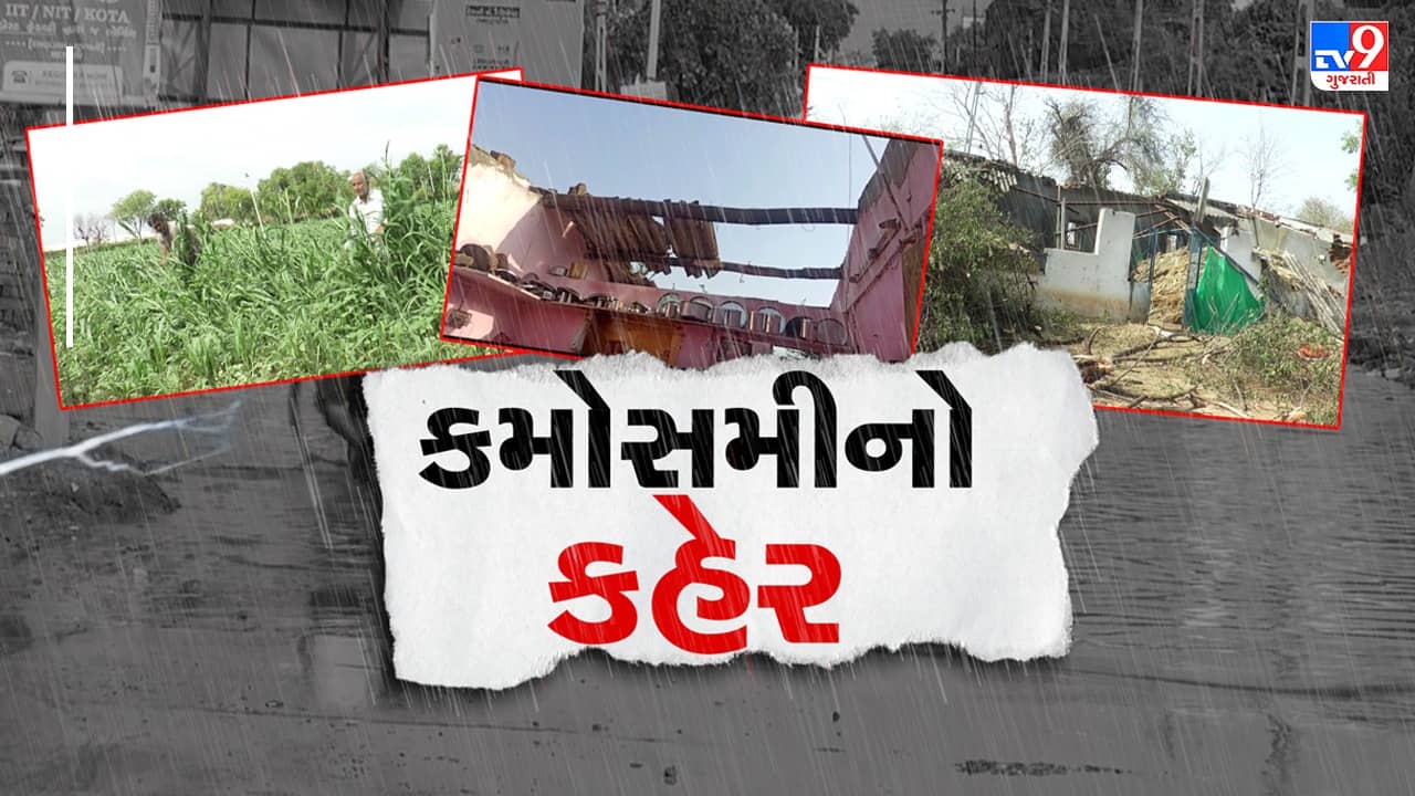 Kutch: ભારે પવન સાથે ધોધમાર વરસાદ, ગાંધીધામ, કંડલા, ભુજમાં વરસાદી માહોલ, જુઓ Video