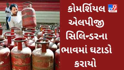 LPG Gas Cylinder Price : મહિનાના પહેલા દિવસે સરકારે આપ્યા રાહતના સમાચાર, કોમર્શિયલ એલપીજી ગેસ સિલિન્ડર થયો સસ્તો, જાણો નવા ભાવ