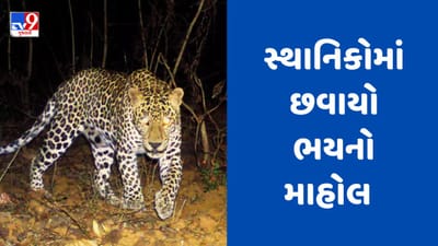 Gujarati Video : પંચમહાલના ડાંગરી ગામના રહેણાંક વિસ્તારમાં જોવા મળ્યો દીપડો, સ્થાનિકોમાં ભયનો માહોલ
