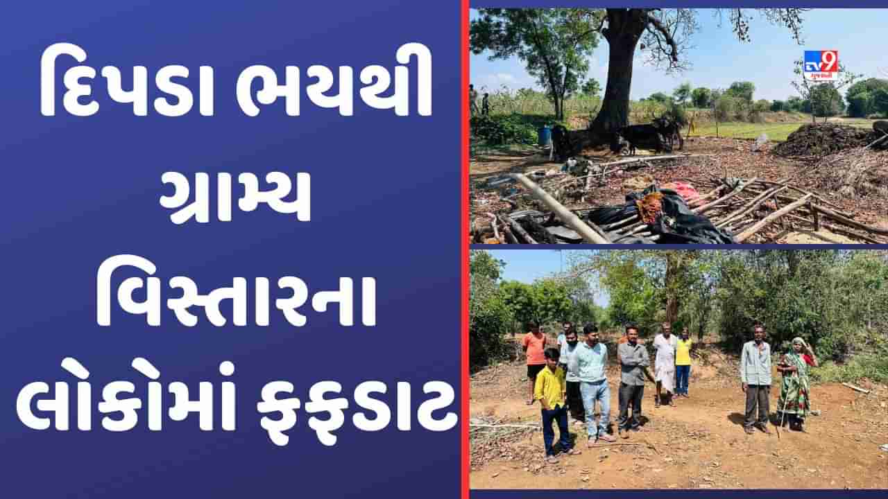 Aravalli: દિપડાની દહેશતથી ખેડૂતો પરેશાન, રાત પડતા જ ગામડાઓમાં કરફ્યુ જેવો માહોલ છવાઈ જાય છે