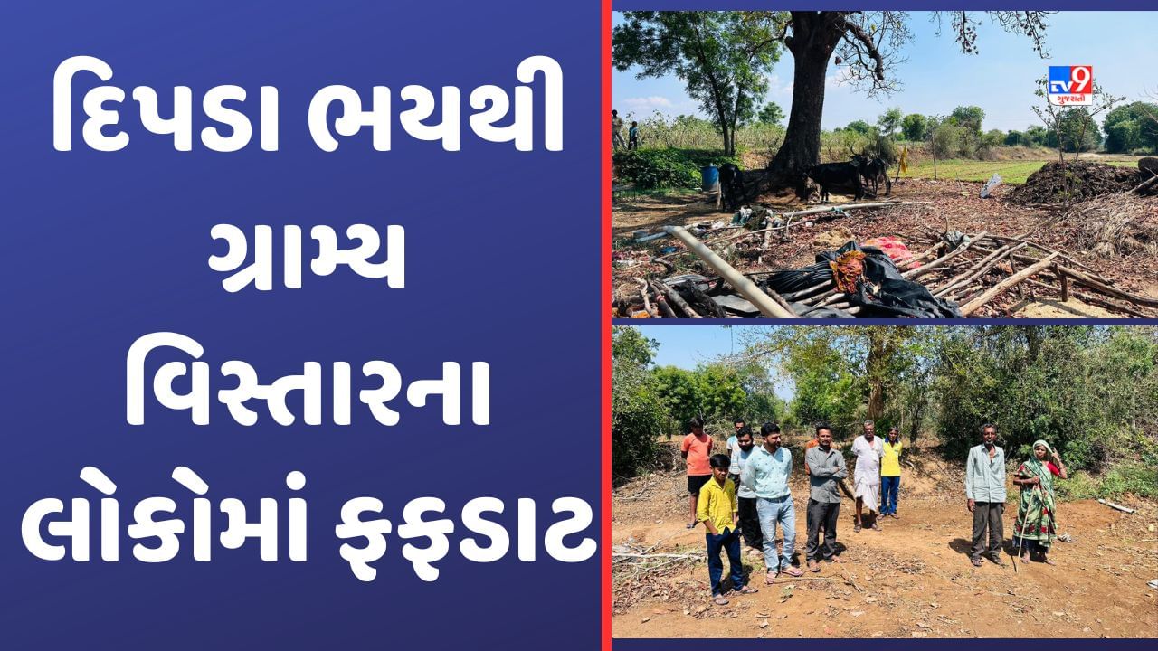 Aravalli: દિપડાની દહેશતથી ખેડૂતો પરેશાન, રાત પડતા જ ગામડાઓમાં કરફ્યુ જેવો માહોલ છવાઈ જાય છે