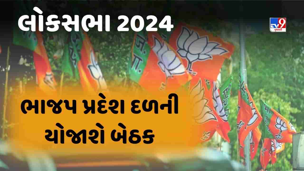 લોકસભાની ચૂંટણીને લઈ ભાજપનું મહામંથન, 17 મેના રોજ યોજાશે પ્રદેશ કારોબારી