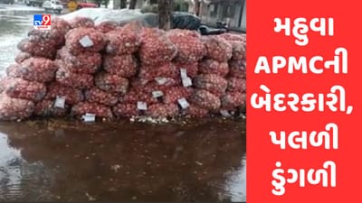 Gujarati Video: ભાવનગરમાં કમોસમી વરસાદથી ખેડૂતોને પારવાર નુકસાન, મહુવા APMCમાં મોટા પ્રમાણમાં પલળી ડુંગળી