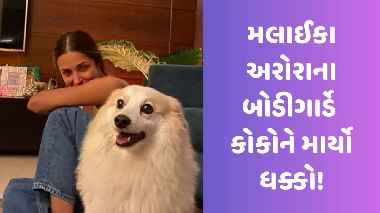 મલાઈકા અરોરાના બોડીગાર્ડે કોકોને માર્યો ધક્કો!, ગુસ્સે ભરાયેલા નેટીઝન્સે એક્ટ્રેસ પાસે કરી કાર્યવાહીની માંગ, જુઓ Video