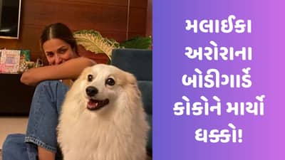 મલાઈકા અરોરાના બોડીગાર્ડે કોકોને માર્યો ધક્કો!, ગુસ્સે ભરાયેલા નેટીઝન્સે એક્ટ્રેસ પાસે કરી કાર્યવાહીની માંગ, જુઓ Video