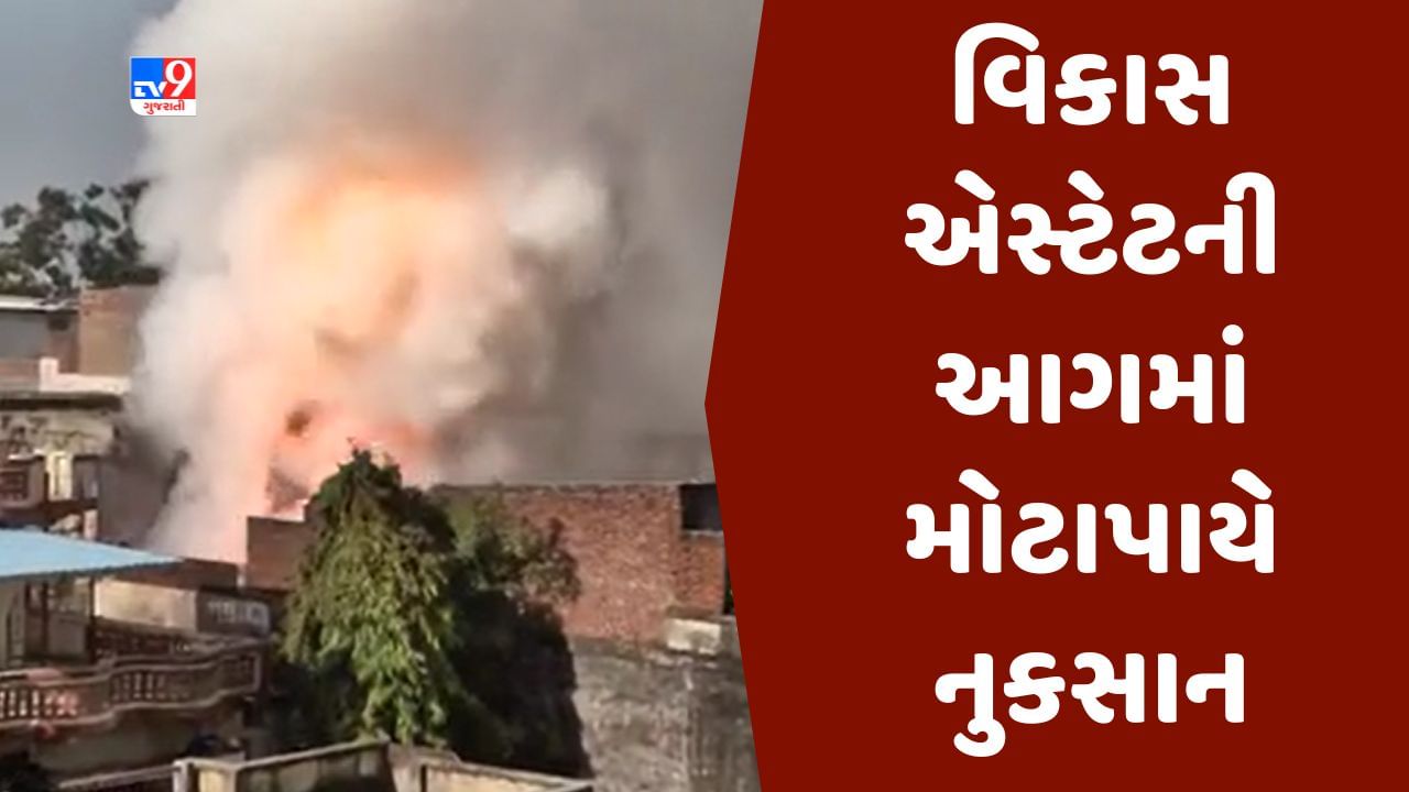 Gujarati video : બાપુનગરમાં આવેલા વિકાસ એસ્ટેટની આગમાં 25 દુકાન સ્વાહા, 8 લોકો ઇજાગ્રસ્ત, સમગ્ર મામલે FSL કરશે તપાસ