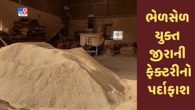 Gujarati Video : મહેસાણાના ઊંઝાના સૂણોક નજીકથી નકલી જીરાની ફેક્ટરીનો પર્દાફાશ, 11.99 લાખનો મુદ્દામાલ જપ્ત