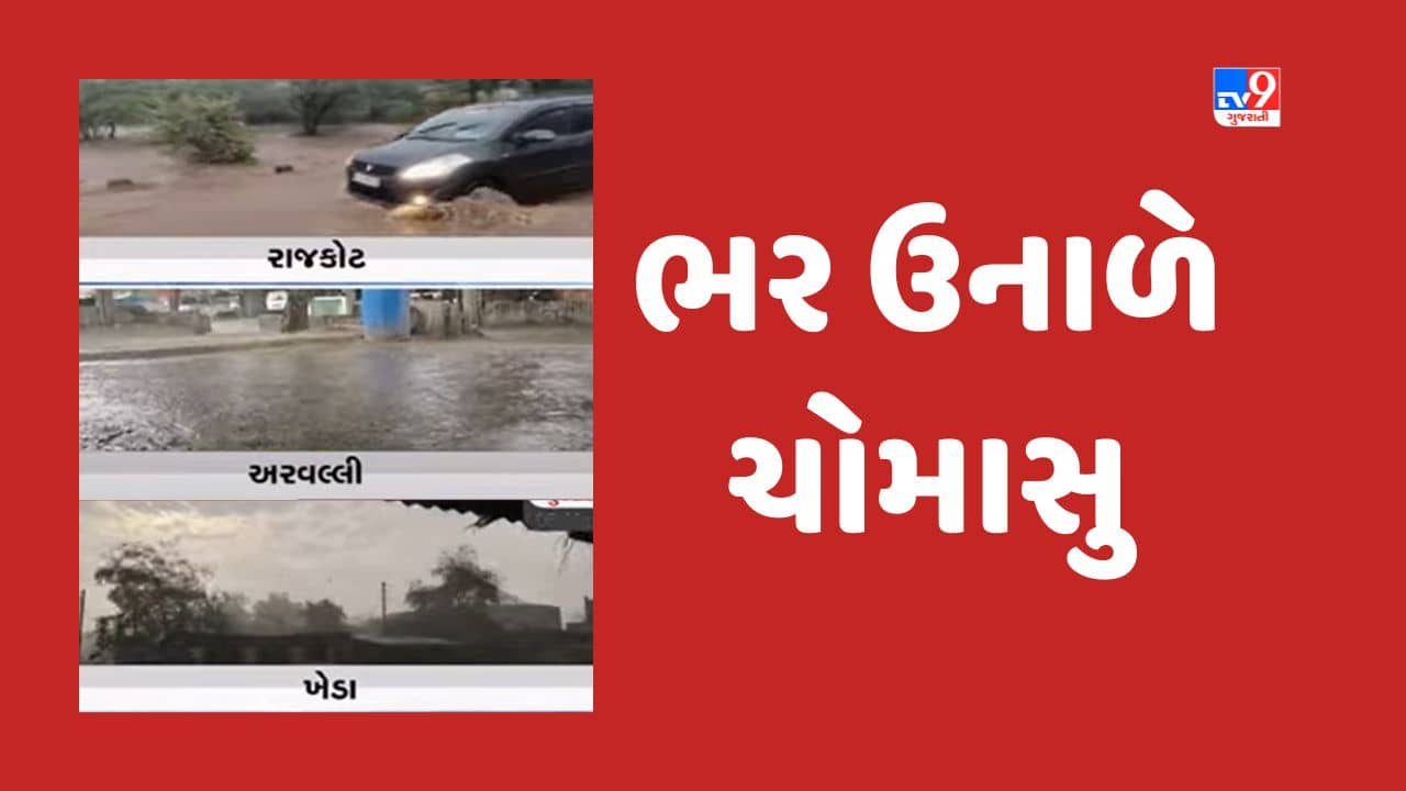 Gujarati Video : રાજ્યમાં ભરઉનાળે ચોમાસા જેવો માહોલ, અનેક જિલ્લામાં કમોસમી વરસાદ ખાબક્યો
