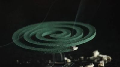 Mosquito Coil: કોઇલના ઉપયોગથી મચ્છરોથી તો બચી જવાય, પરંતુ સ્વાસ્થ્ય માટે ખતરનાક
