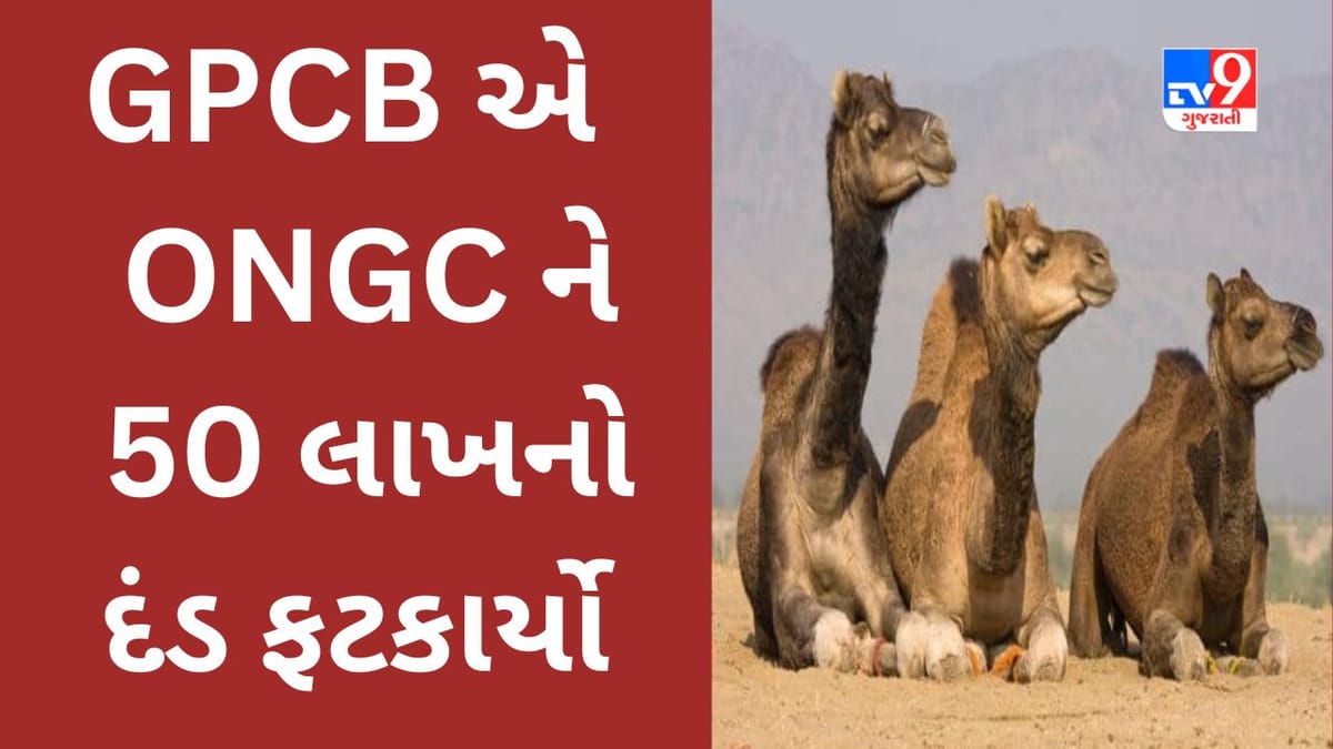Breking News : કચ્છીપુરામાં ઝેરી પાણી પીવાથી 25 થી વધુ ઊંટના મોત નિપજવાની ઘટનામાં GPCB ની લાલ આંખ, ONGC ને 50 લાખનો દંડ ફટકાર્યો