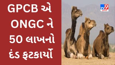 Breking News : કચ્છીપુરામાં ઝેરી પાણી પીવાથી 25 થી વધુ ઊંટના મોત નિપજવાની ઘટનામાં GPCB ની લાલ આંખ, ONGC ને 50 લાખનો દંડ ફટકાર્યો