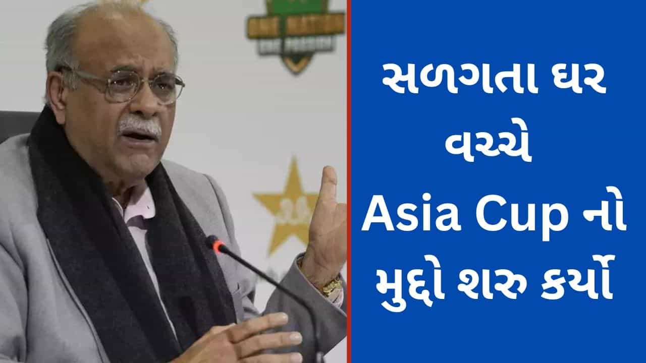 India vs Pakistan World Cup: પાકિસ્તાનને ઘરમાં સુરક્ષાનુ ઠેકાણુ નથી અને ફરી બોયકોટની વાત, Asia Cup થી હટવા તૈયાર