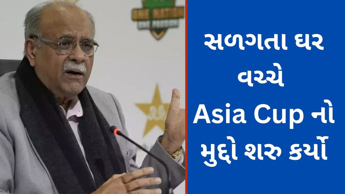 India vs Pakistan World Cup: પાકિસ્તાનને ઘરમાં સુરક્ષાનુ ઠેકાણુ નથી અને ફરી બોયકોટની વાત, Asia Cup થી હટવા તૈયાર