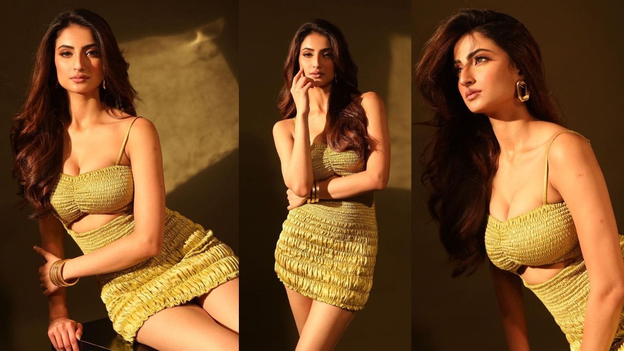 આ પહેલા પલક તિવારીએ પીળા શોર્ટ ડ્રેસમાં ફોટો શેર કર્યો હતો. તેના ફોટા ખૂબ વાયરલ થયા હતા અને બોલ્ડ અંદાજમાં ચાહકોને દિવાના બનાવી દીધા હતા. અભિનેત્રી વેસ્ટર્ન લુકમાં સુંદ લાગી રહી છે અને તેના ચાહકોને સરપ્રાઈઝ આપવાની કોઈ તક ચૂકતી નથી.