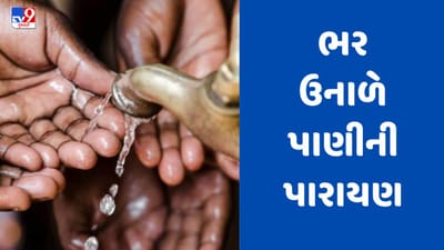 Panchmahal : ઉમરપુર અને હાંસેલાવ ગામમાં નળ છે પણ પાણી નથી, ભર ઉનાળે પાણીની પારાયણ, જુઓ Video