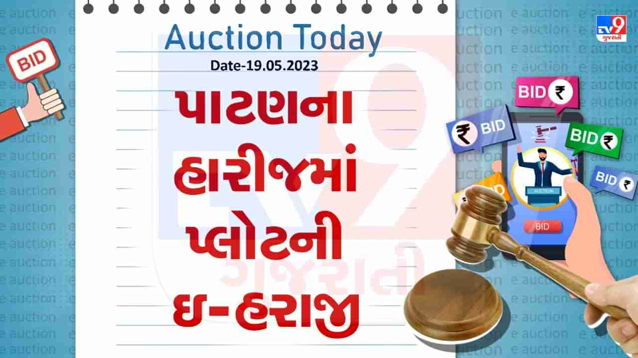 Auction Today : પાટણના હારીજમાં પ્લોટની ઇ- હરાજી , જાણો વિગતો