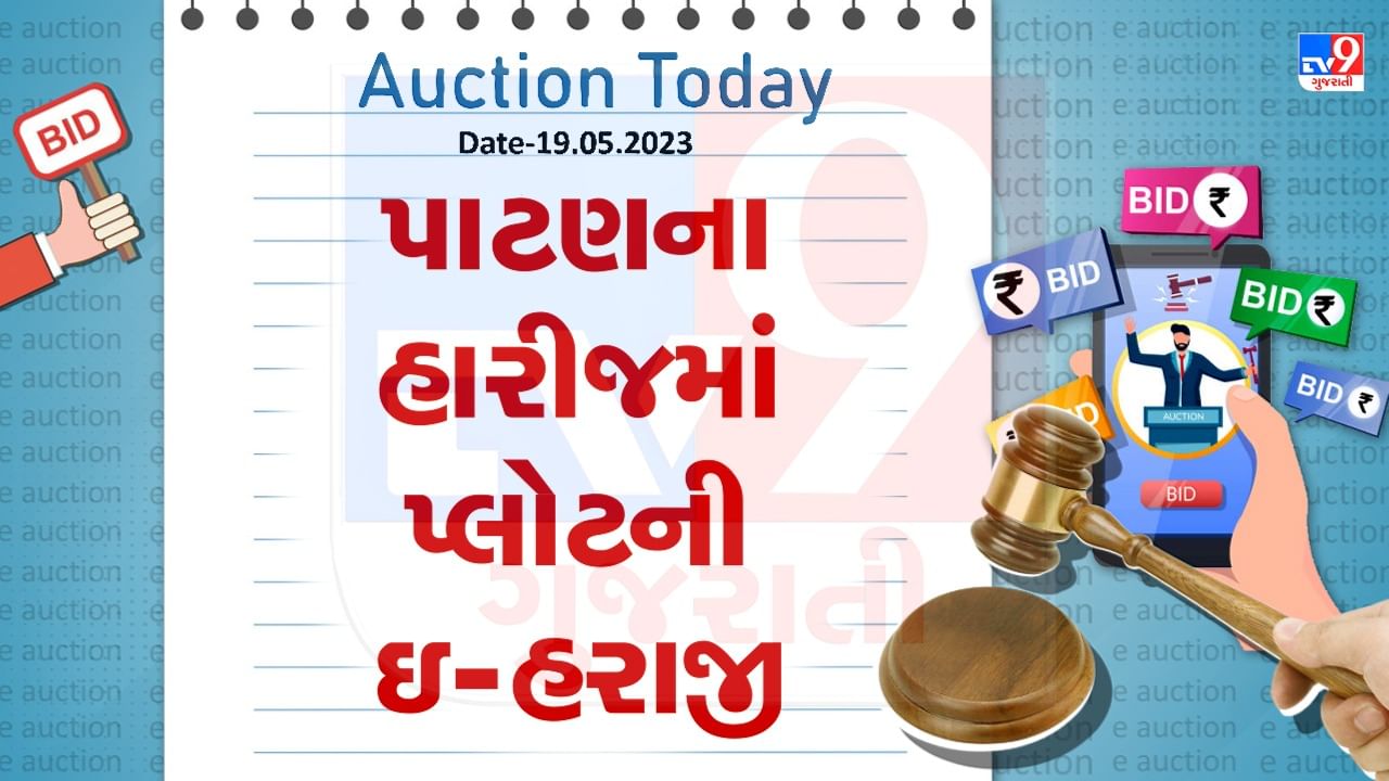 Auction Today : પાટણના હારીજમાં પ્લોટની ઇ- હરાજી , જાણો વિગતો