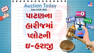 Auction Today : પાટણના હારીજમાં પ્લોટની ઇ- હરાજી , જાણો વિગતો