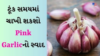Pink Garlic : ટૂંક સમયમાં તમે ચાખી શકશો ગુલાબી લસણનો સ્વાદ, બિહાર કૃષિ યુનિવર્સિટીએ નવી વિકસાવી જાત-જુઓ Video