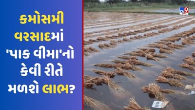 Crop Insurance: કમોસમી વરસાદમાં આ રીતે થશે 'પાક વીમા'નો ફાયદો, ખેડૂતોને મળશે વળતર