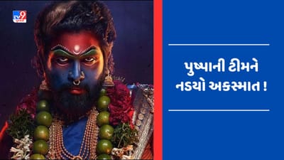 Allu Arjun Pushpa 2: અકસ્માતનો ભોગ બની 'પુષ્પા 2' ટીમની બસ , કેટલાક લોકો ઘાયલ