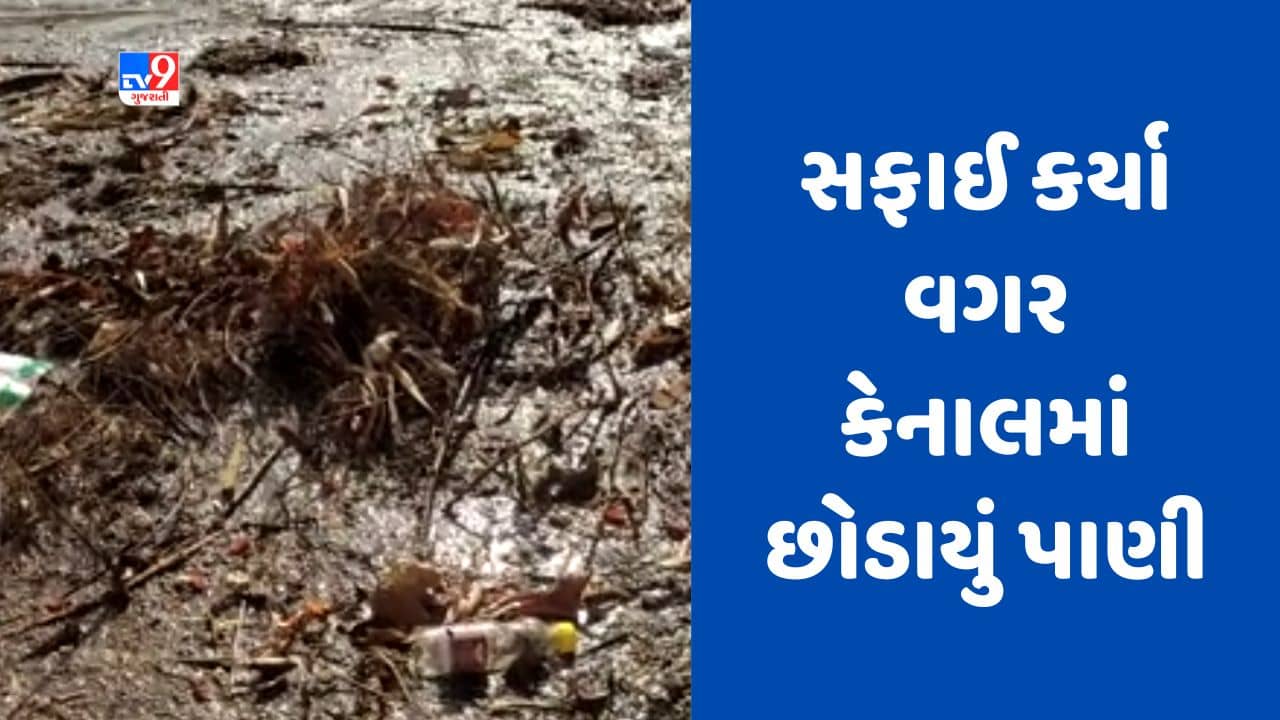 Gujarati Video : રાજકોટના ધોરાજીથી પસાર થતી ભાદર- 1 કેનાલમાં છોડાયુ સફાઈ કર્યા વગરનું પાણી, ખેડૂતોની ચિંતામાં વધારો
