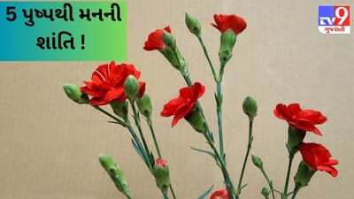 5 પુષ્પ પ્રદાન કરશે મનની શાંતિ ! મંગળવારે જ અજમાવી લો આ સરળ ઉપાય