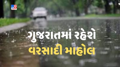 Gujarati video : ગુજરાતમાં રહેશે વરસાદી માહોલ, હવામાન વિભાગે કરી આગાહી