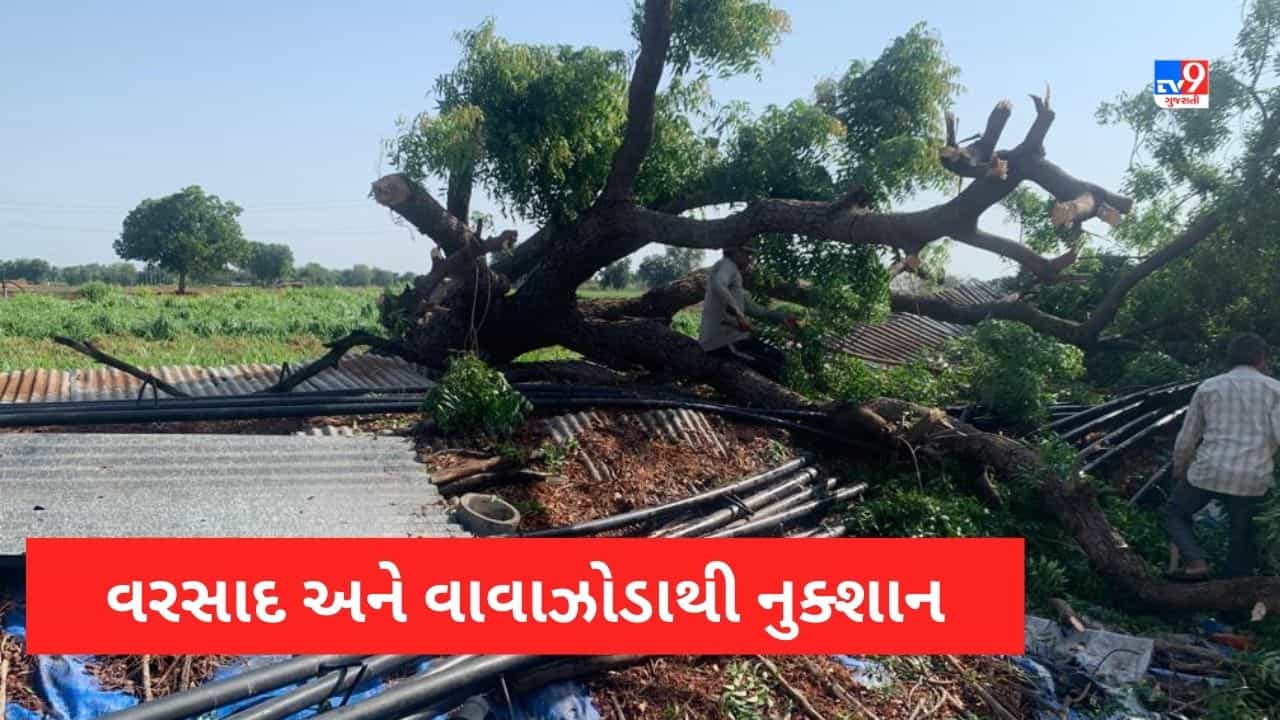 Rain in North Gujarat: અરવલ્લી અને સાબરકાંઠામાં વરસાદ, વાવાઝોડાથી ભારે નુક્શાન, વૃક્ષો ધરાશાયી, ખેડૂતો ફરી એકવાર નુક્શાન Video