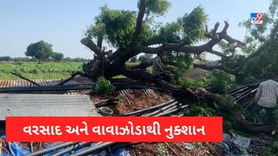 Rain in North Gujarat: અરવલ્લી અને સાબરકાંઠામાં વરસાદ, વાવાઝોડાથી ભારે નુક્શાન, વૃક્ષો ધરાશાયી, ખેડૂતો ફરી એકવાર નુક્શાન Video
