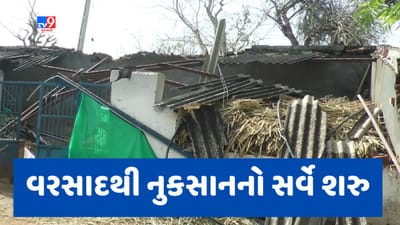 Gujarati video : બનાસકાંઠામાં વાવાઝોડા અને વરસાદથી નુકસાન મામલે સર્વે શરુ, મોત મામલે સહાય ચૂકવાશે