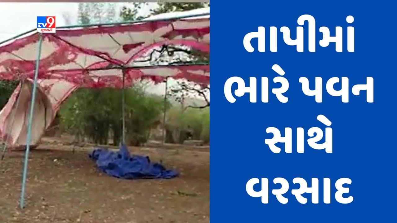 Gujarati video : તાપી જિલ્લામાં મેઘ કહેર, ક્યાંક લગ્નના મંડપ ઉડ્યા તો ક્યાંક વૃક્ષ ધરાશાયી